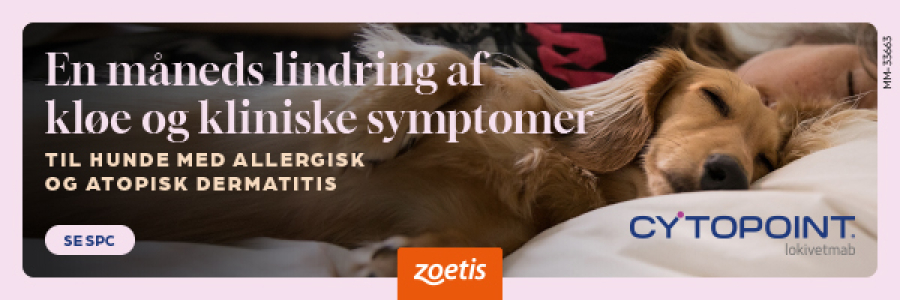 DK-Cytopoint-Banneradvertisement-600x200px